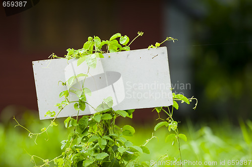 Image of blank abandoned sign