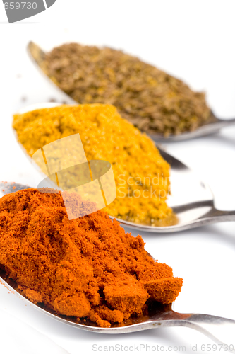 Image of ground spices