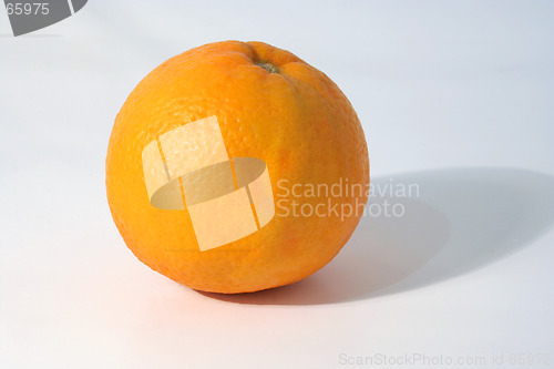 Image of Orange ...