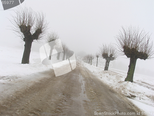 Image of Winter alley