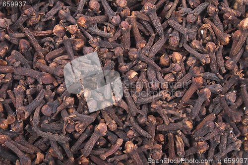 Image of clove background