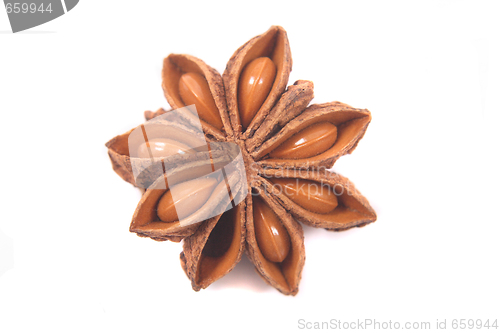 Image of anise star 