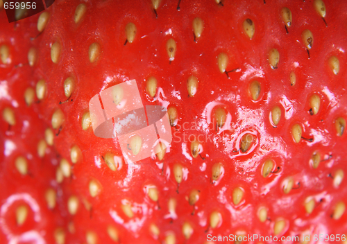 Image of strawberry background