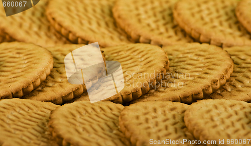 Image of Scattering of sweet milk cookies