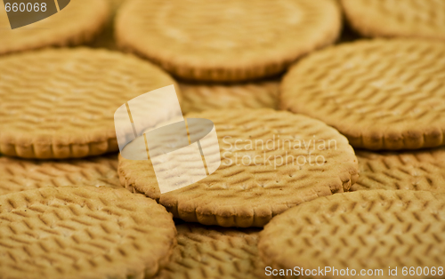Image of Scattering of sweet milk cookies