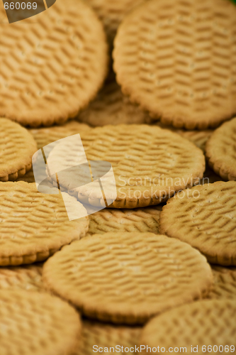 Image of Scattering of sweet milk cookies