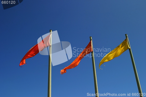 Image of Color Flags