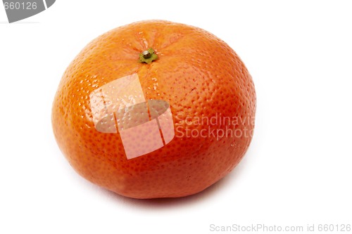 Image of Tangerine