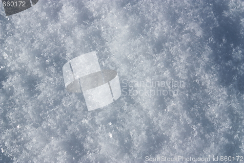 Image of White powder snow