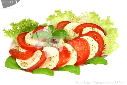 Image of Isolated salad