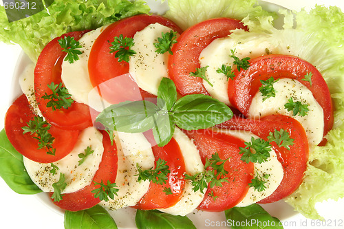 Image of Salad