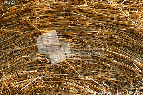 Image of Hay background