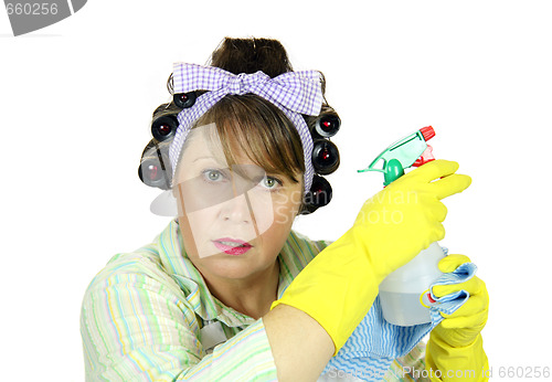 Image of Spray Bottle Housewife