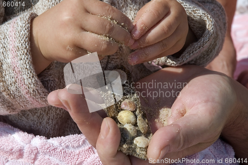 Image of beach day. hands holding shells