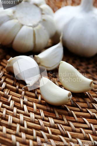 Image of garlic