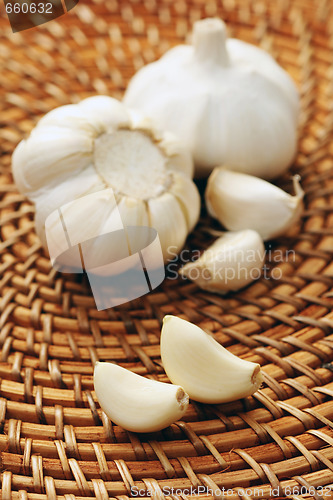 Image of garlic