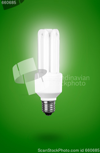 Image of Fluorescent Light Bulb