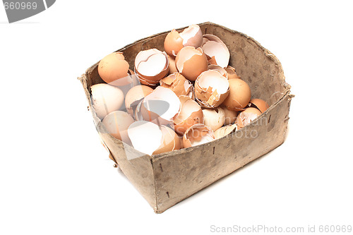 Image of empty eggs