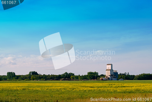 Image of Prairie Field