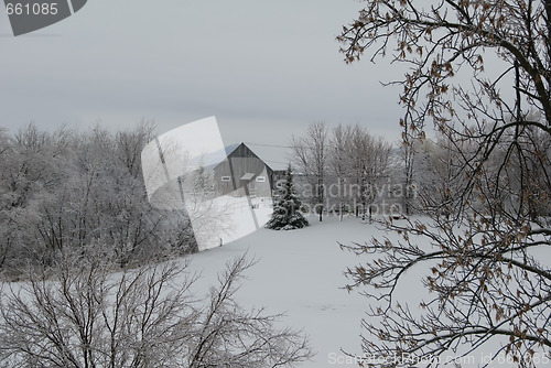 Image of Winter scene