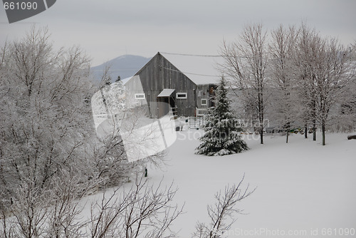 Image of Winter scene