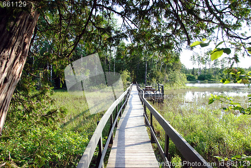 Image of Wooden walkway