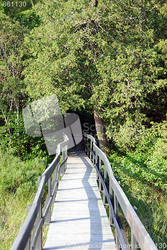 Image of Wooden walkway