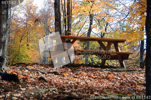 Image of Picnic table