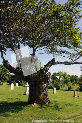 Image of Cemetery