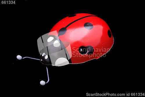 Image of ladybug toy