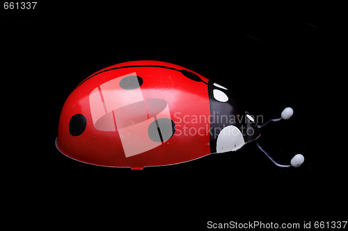 Image of ladybug toy