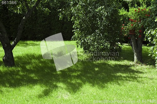 Image of garden. summer scenic