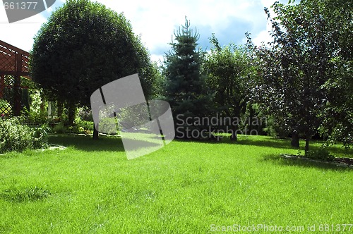 Image of garden. summer scenic