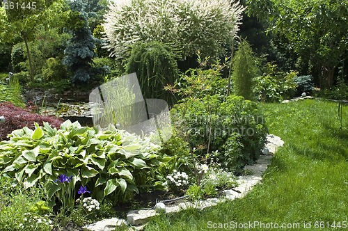Image of peaceful garden. summertime
