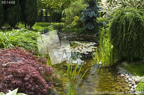 Image of peaceful garden. summertime