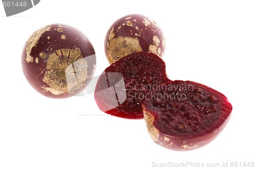 Image of Prickly pear cactus ( Opuntia ficus-indica ) with red fruits