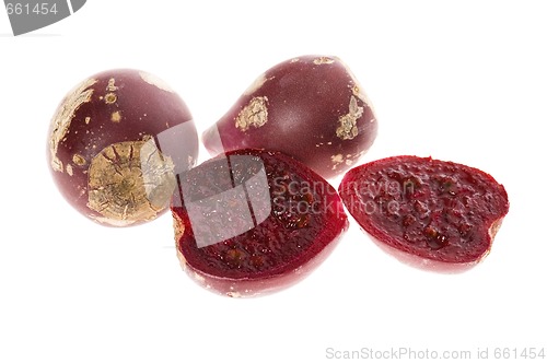 Image of Prickly pear cactus ( Opuntia ficus-indica ) with red fruits