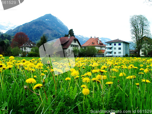 Image of Switzerland Mountain Countryside