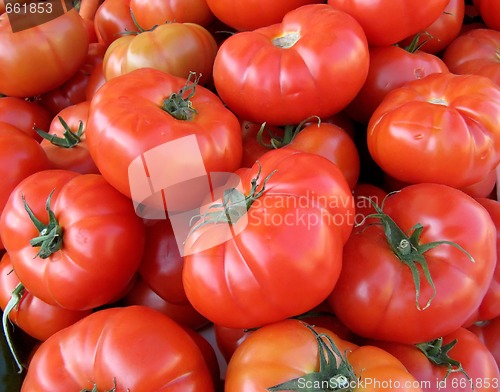 Image of Tomatoes