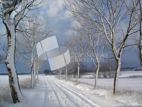 Image of Swedish winter