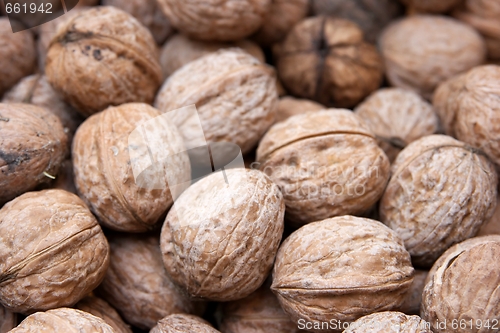 Image of Pile of nuts