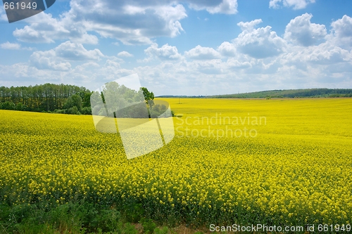 Image of Field