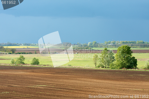 Image of Fields