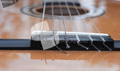 Image of Guitar