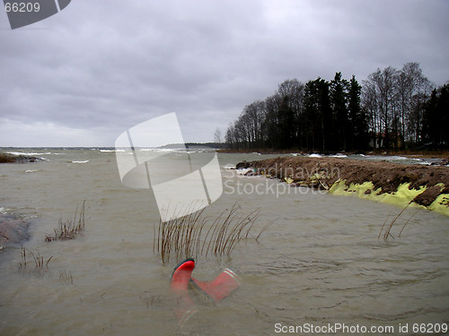 Image of Boots in water