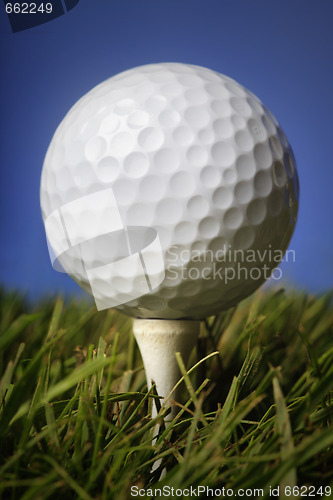 Image of Golf ball in grass