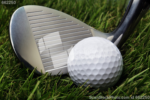 Image of Golf ball in grass