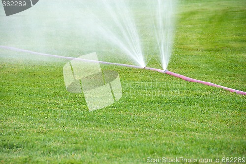 Image of Sprinkling on grass from damaged hose