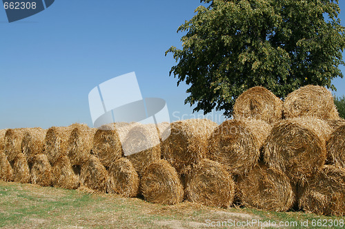 Image of Hay bales