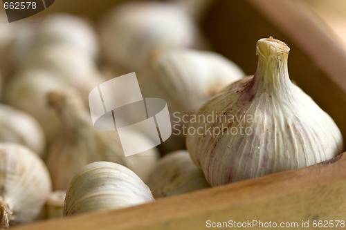 Image of group of garlic in a box